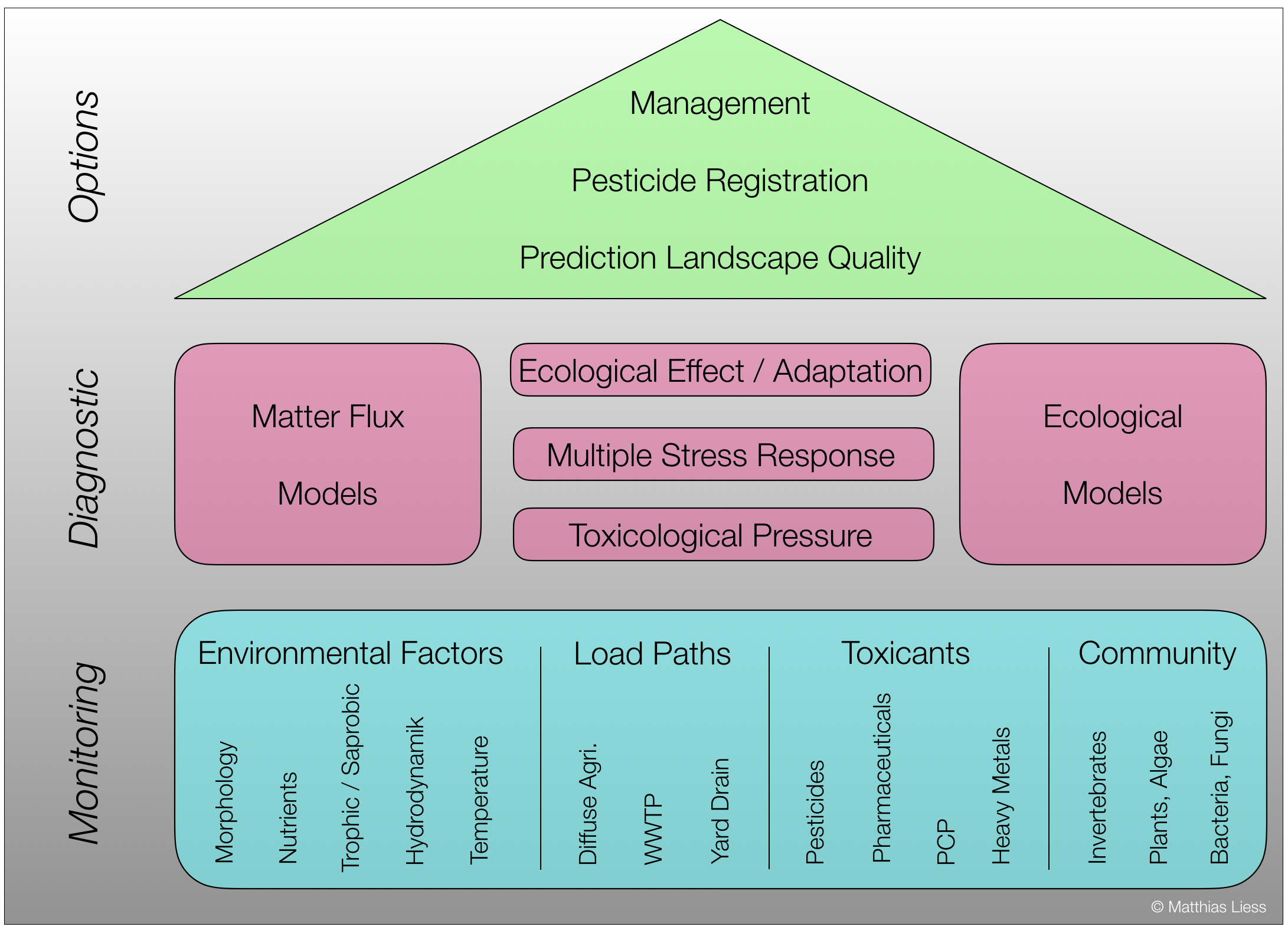 Schema Eng